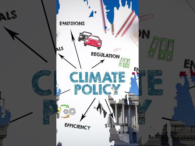 Bill Gates’ Climate Group Lays Off Policy Team