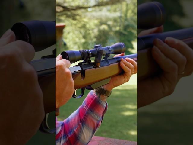Browning A Bolt