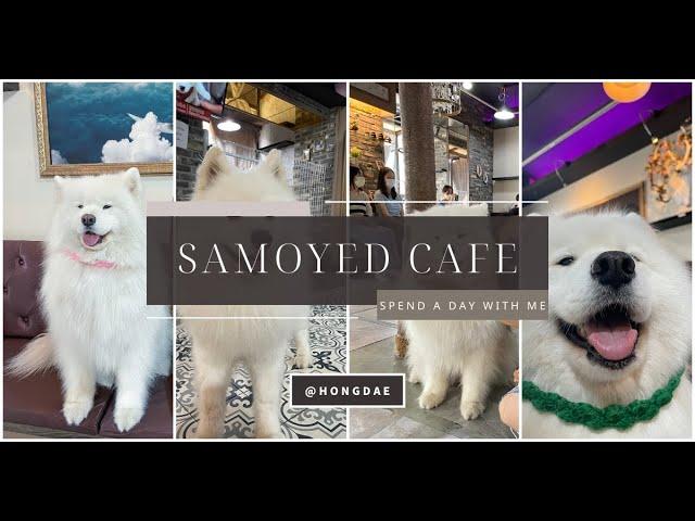 [VLOG] Samoyed Cafe @ Hongdae | Winter Village Samoyed Cafe (겨울머무는집)