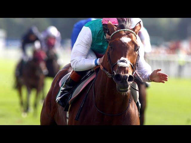 Frankel is flawless in 2012 Juddmonte International Stakes