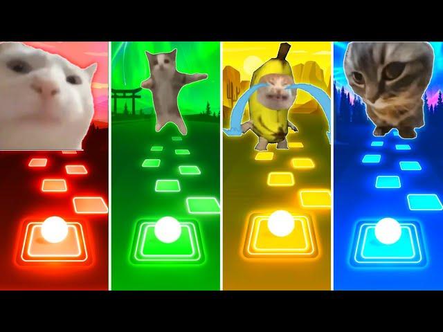 Vibing Cat vs Happy Cat vs Banana Cat vs Chipi Chipi Chapa Chapa Cat - Tiles Hop EDM Rush