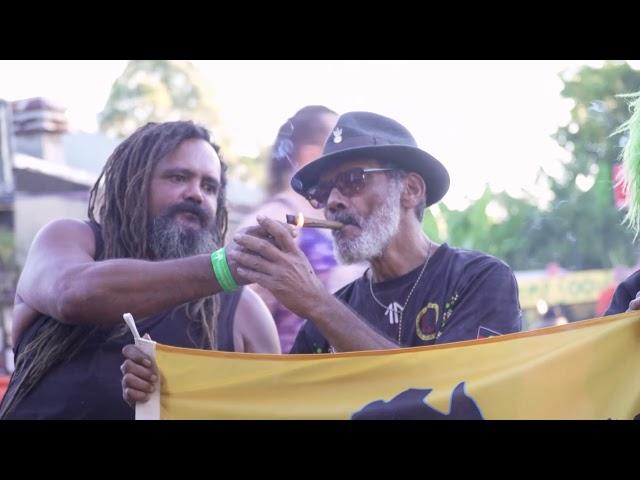 Nimbin Mardigrass 2017