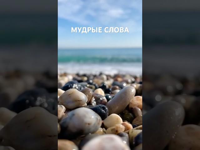 Мудрые слова #любовь #душа #цитаты #рекомендации #мышление #мотивация#жизнь #вдохновение#мудрыеслова