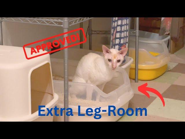 Best Litterbox for Cats Who Need More Space