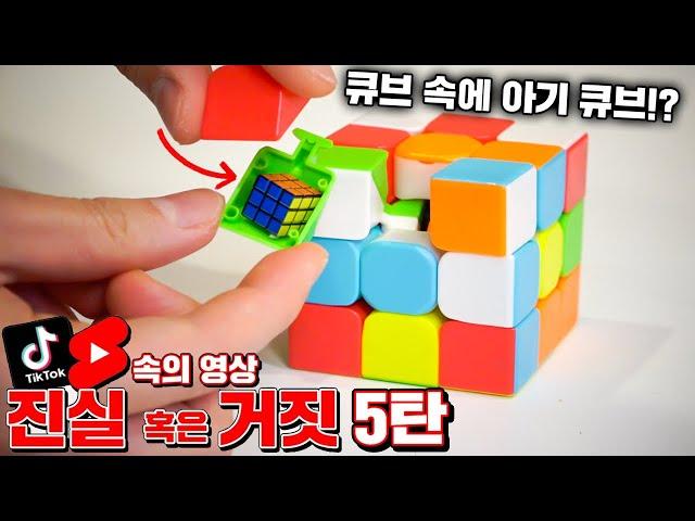 SNS 영상들 진실일까 거짓일까? 5탄 (와 소름...) [꾹TV]