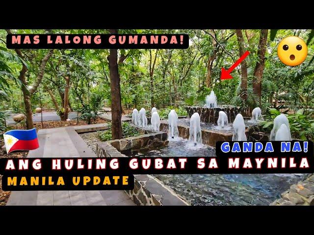 Ang Huling Gubat sa Maynila Lalong Gumanda! Tourist Spot na Ngayon! 