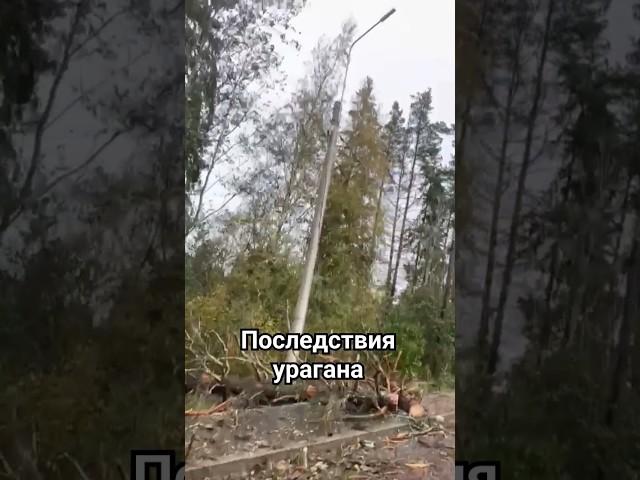 Осторожно - ненормативная лексика 18+ #ураган #стихия #городгерой #отличныйдень #немое #освещение