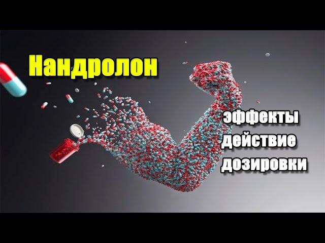 НАНДРОЛОН (ДЕКА) | описание препарата, эффекты, действие и дозировки