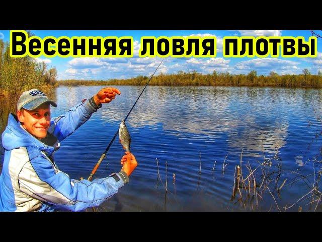 ПЛОТВА/ЛОВЛЯ ПЛОТВЫ ВЕСНОЙ НА ВОЛГЕ/ВЕСЕННЯЯ РЫБАЛКА/ПОПЛАВОЧНАЯ УДОЧКА/РЫБАЛКА В САМАРЕ/ВЕСНА/РЫБА
