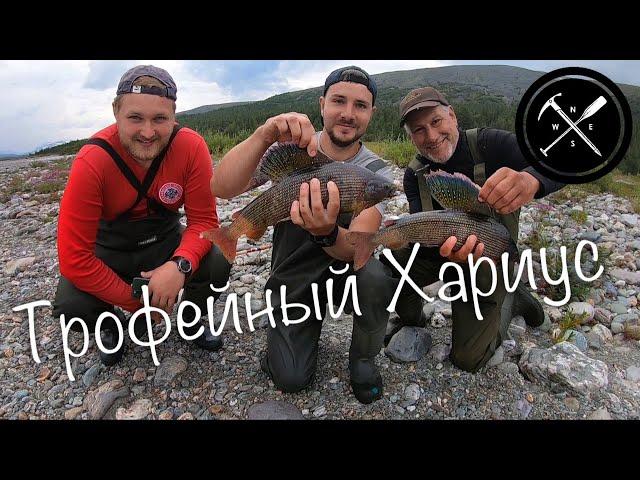 Бешеный клев хариуса