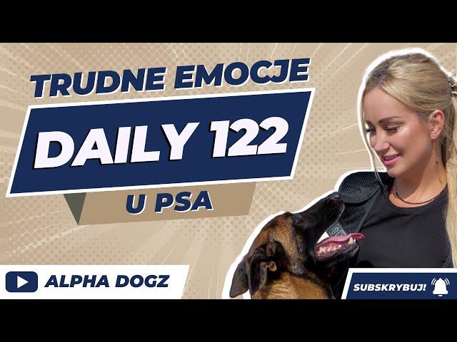 TRUDNE EMOCJE U PSA. Daily 122. Alphadogz.pl