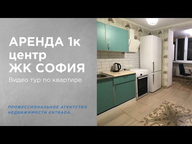 ВИДЕО тур. Аренда 1 ком. квартиры в центре ЖК София, Софиевская Борщаговка, ул. Толстого, 80.