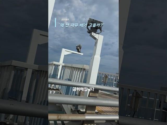 왜 난 자꾸 배가 고플까#가짜배고픔 #정법강의 #감정허기 #내면의소리 #마음공복 #생각정리 #진짜배고픔 #먹방심리 #에너지허기 #삶의방향