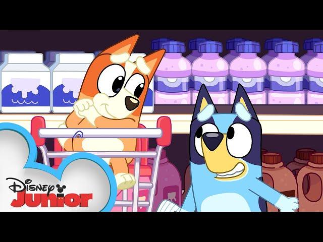 Bluey and Bingo Go Grocery Shopping  | Bluey | Disney Junior