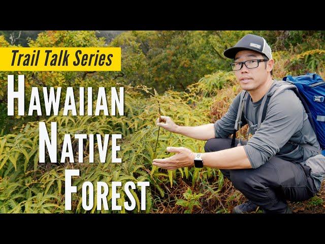 Hawaiian Native Forest | Trail Talk  with Ryan Chang