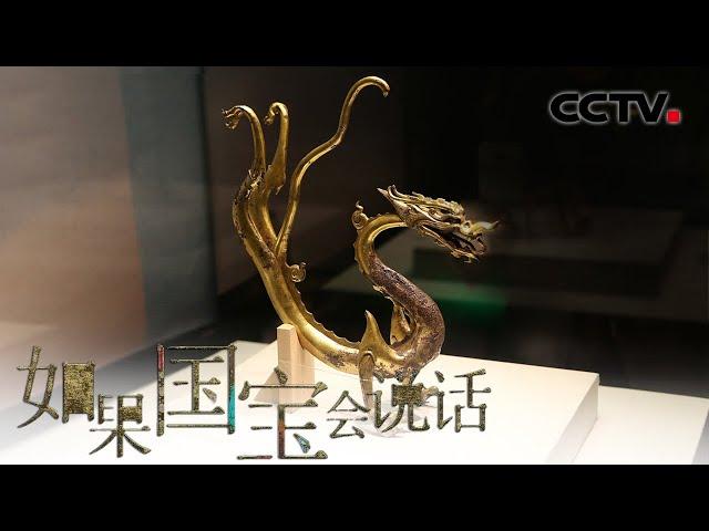 《如果国宝会说话》第三季 第五集 龙行在唐 | CCTV纪录