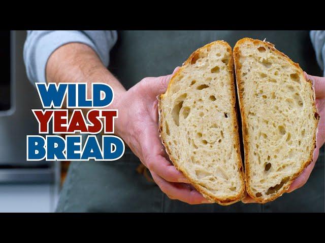 Wild Yeast For Bread Baking - How To Make Wild Yeast Bread & Why It Works