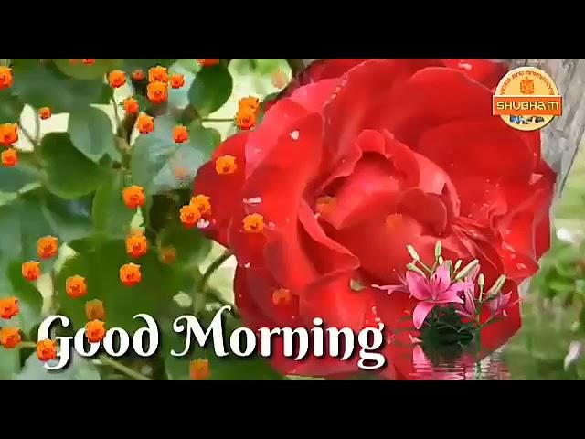 Good Morning tamil song 75