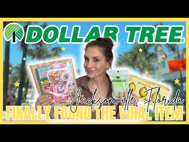 $36.50 DOLLAR TREE BEACH HAUL | I saw this guy do this, I really did | FOUND WHAT I WAS DREAMING OF