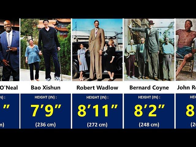 Tallest People in the World - Height Comparison