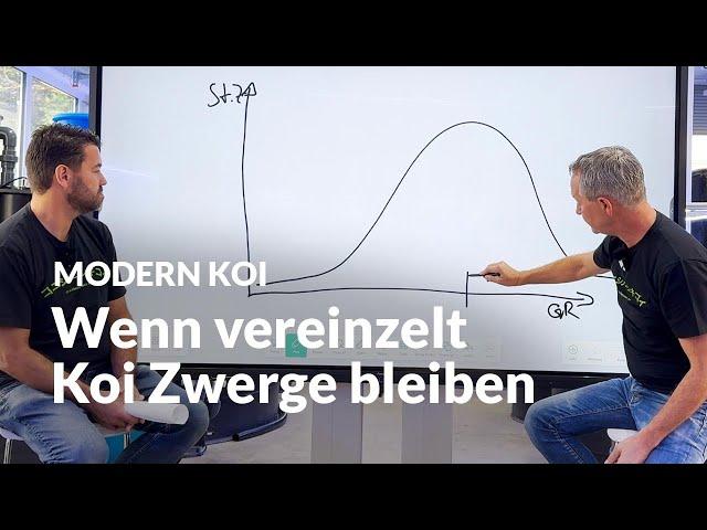 Wenn einzelne Koi gar nicht wachsen wollen | Modern Koi Blog #6762