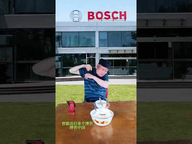 Bosch China Smart Travel Bosch #6