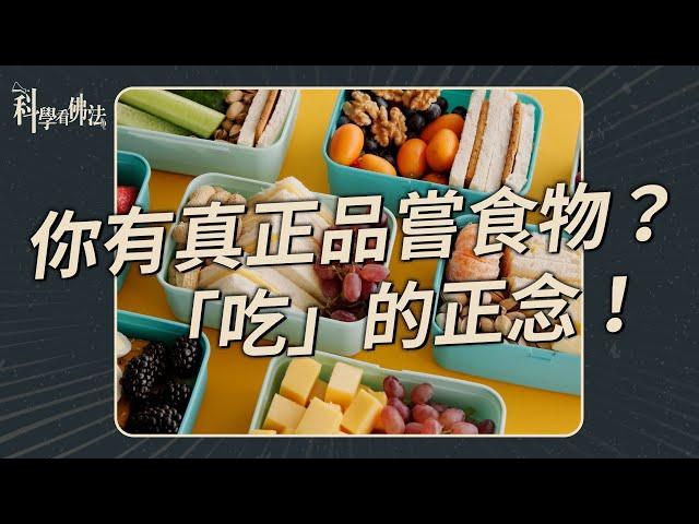 你有真正品嘗食物？「吃」的正念！【法源法師】| 科學看佛法：正念學堂 #８