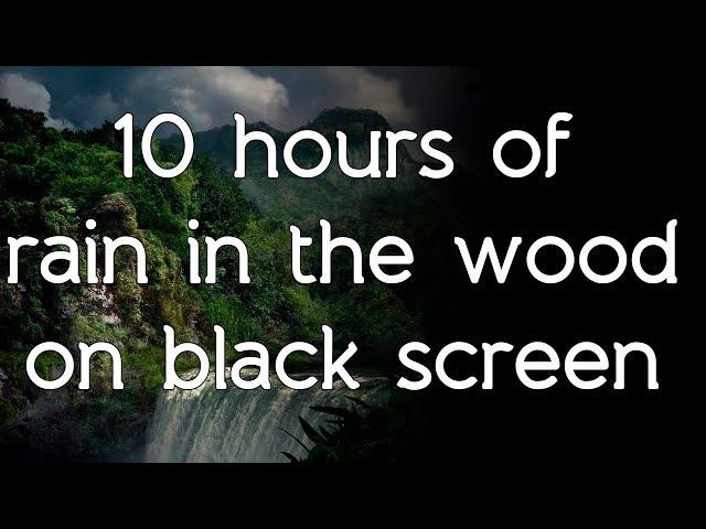   Rain in the woods sound on black screen dark screen high quality white noise ASMR