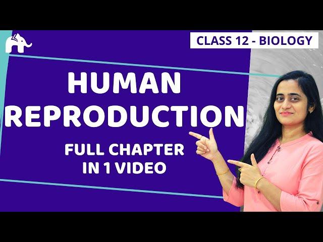 Human Reproduction Class 12 | NCERT Chapter 3| One Shot | CBSE NEET