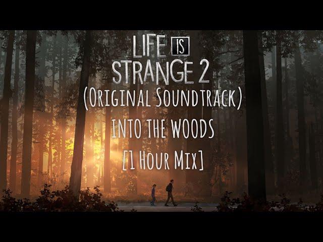 Life is Strange  2 - Into the Woods (1 Hour Mix)