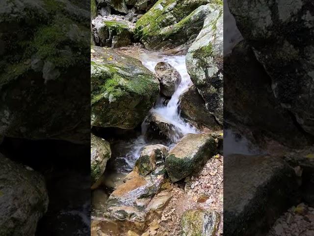 이끼 바위 사이로 흐르는 맑고 깨끗한 계곡 물소리, 자연 그대로의 소리