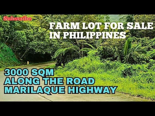 #vlog200 ITO ANG SAKTONG SUKAT NA HINAHANAP PO NATIN 3000 SQM LANG NA SUKAT SAKTONG BAKASYUNAN