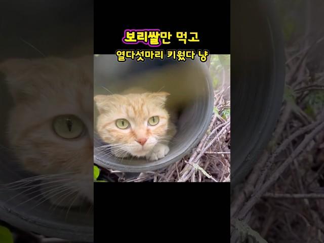 이제 그만 편하게 살아~