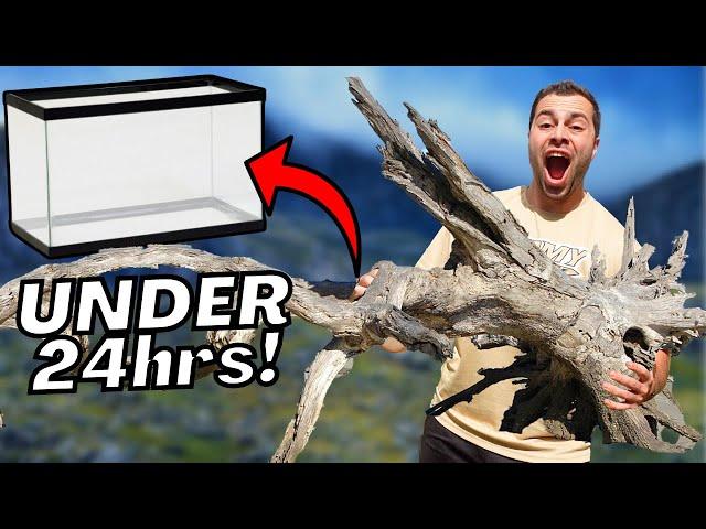 How To FIND and CLEAN DRIFTWOOD! (Best Method For Aquariums, Paludariums, and Terrariums)