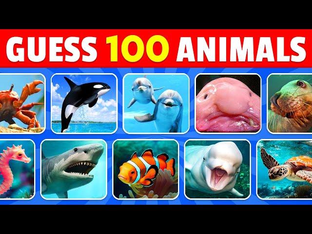 Guess 100 Sea Animals in 3 Seconds  | Easy, Medium, Hard, Impossible