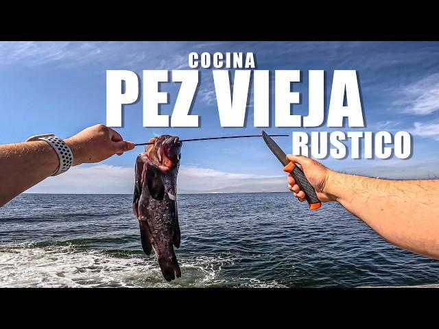 Cómo Cocinar Pez Vieja o Mulata en la Naturaleza Estilo Rústico