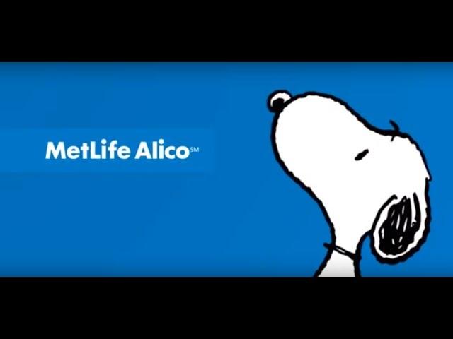 Історія роботи MetLife в Україні