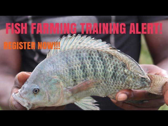 FISH FARMING TRAINING ALERT PLUS HIGHLIGHTS | REGISTER NOW!!!