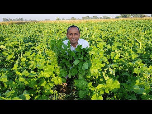 Sarson Ka Saag | Makki Ki Roti | Homemade Butter | Mubashir Saddique | Village Food Secrets