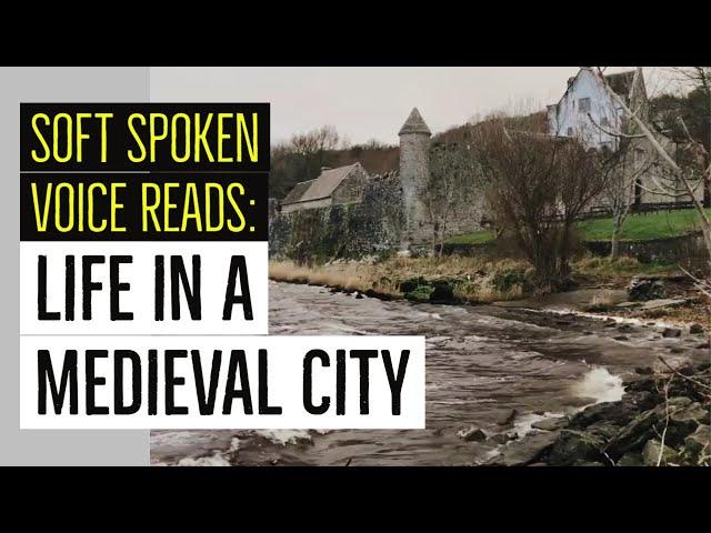 Life In A Medieval City | Unintentional ASMR Audiobook read by Peter Yearsley