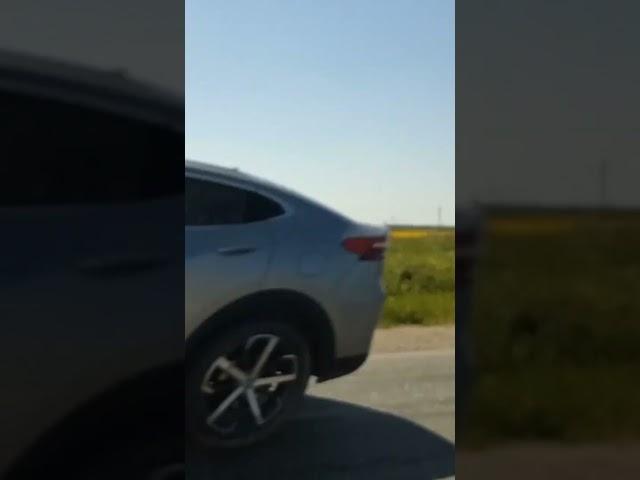 салдинское полюшко