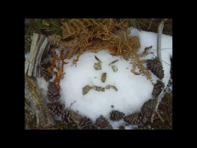 Angry Snow Face