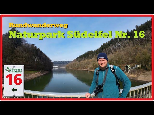 Rundwanderweg Naturpark Südeifel Nr. 16 | Biersdorf am See [2,7K]