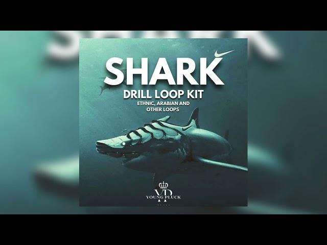 [9 FREE] DRILL LOOP KIT / SAMPLE PACK 2024 - SHARK  (Ethnic, Arabian and other loops)