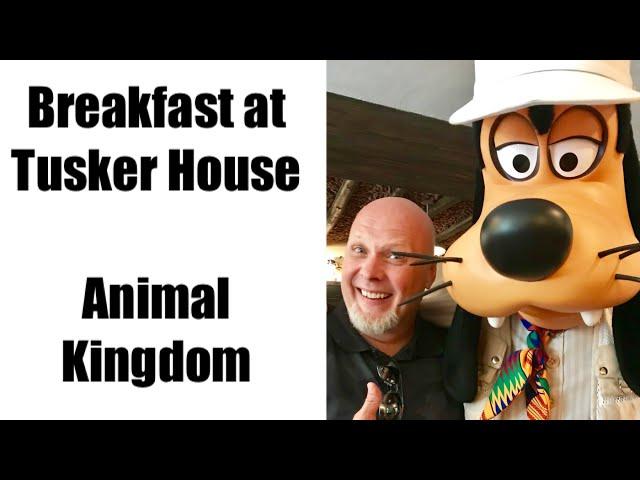 Disney World Animal Kingdom | Tusker House Breakfast Review | Rivers of Light Package