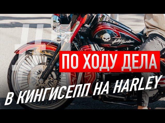 В Кингисепп на Harley-Davidson попить кофеёк