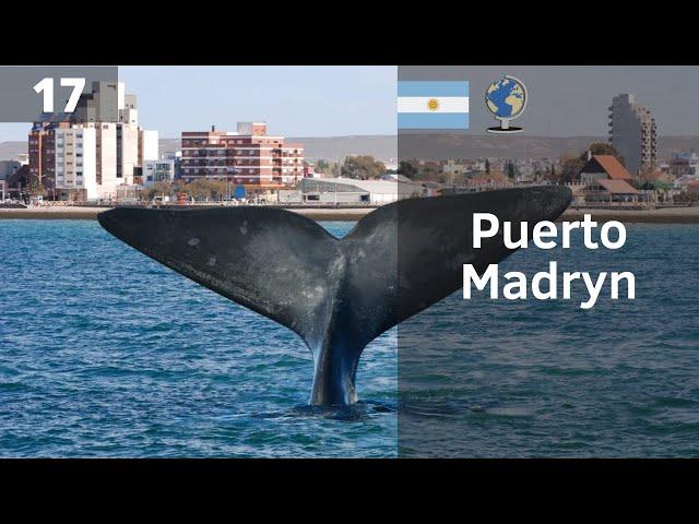 PUERTO MADRYN, el PARAÍSO argentino | CHUBUT (Argentina)