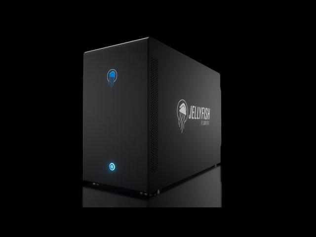 What is a LumaForge Jellyfish?
