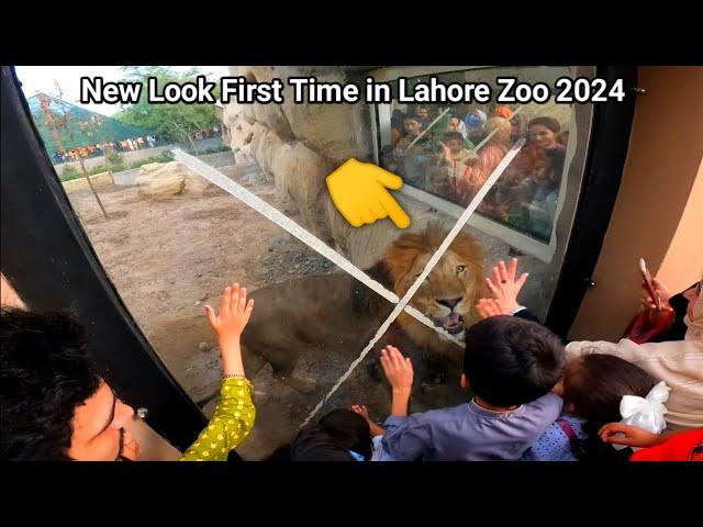 Lahore Zoo Reopen 2024 | New Animal in Lahore Zoo 2024 | Lahore Zoo Renovation 2024 | Chirya Ghar