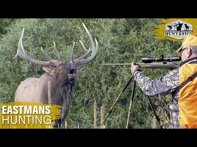 Colorado Elk - A Once In A Lifetime Hunt!